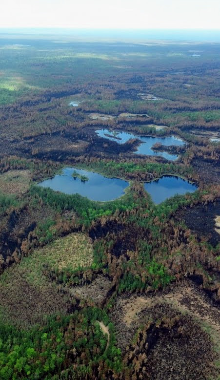 "Photo taken from an airplane of the Duck Lake fire showing the mosaic of fire effects, ranging from low to high severity, plus several water bodies.